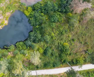 Luftaufnahme einer Landschaft mit Gewässer