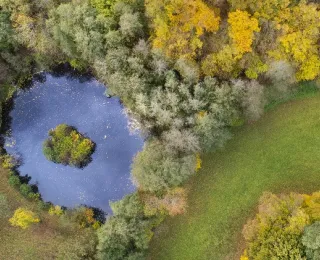 ringförmiger Teich von Laubwald umgeben