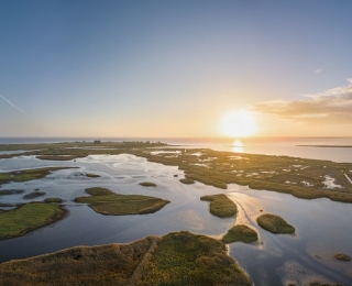 Das Luftbild zeigt ein Mosaik von Wasserflächen und Küstenmoorflächen in den „Karrendorfer Wiesen“.