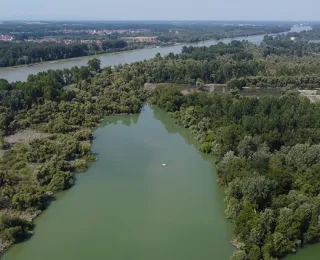 Bärensee in der Rastatter Rheinaue