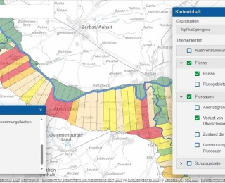 Der Kartenausschnitt zeigt, dass an der Elbe in Sachsen-Anhalt zwischen der Mulde- und der Saalemündung 60 bis über 90 Prozent der mehrere Kilometer breiten linkselbischen Auen durch Deiche vom Fluss abgetrennt sind. Die viel schmaleren rechtselbischen Auen sind vollständig erhalten geblieben und können bei Hochwasser überflutet werden.