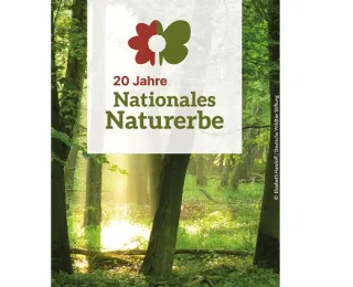 Wald mit Logo "20 Jahre Nationales Naturerbe": stilisiert zeigt das Logo einen Baum, eine Blume und einen Schmetterling