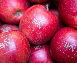 Rote Äpfel mit BfN Logo