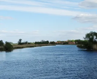Das Foto zeigt den Fluss Havel in der unteren Havelniederung mit Grünland und einzelnen Weiden im Uferbereich. Im Hintergrund ist ein Dorf zu sehen.