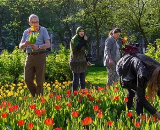 Menschen pflücken Blumen, im Hintergrund Bäume