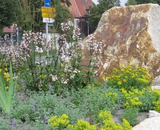 Kreisverkehrsbepflanzung in Schwabach