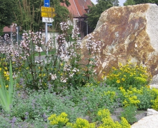 Kreisverkehrsbepflanzung in Schwabach