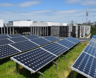 Solarmodule auf einem begrünten Dach