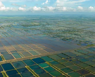 Large-scale aquaculture in Vietnam