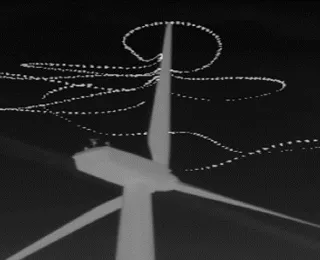 3-D-Fledermausflugbahn an einer Windenergieanlage bei Nacht