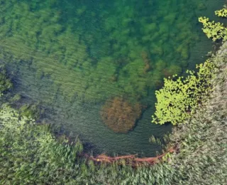 Seebucht mit Charaseen aus der Luft fotografiert