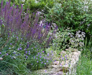 Naturnaher Garten mit Trockenmauer und blütenreicher Bepflanzung