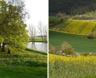 Beispielhafte Landschaftsbilder (Bleckede, Hammelburg) für die durch das Aktionsprogramm Natürlicher Klimaschutz (ANK) adressierten Handlungsfelder