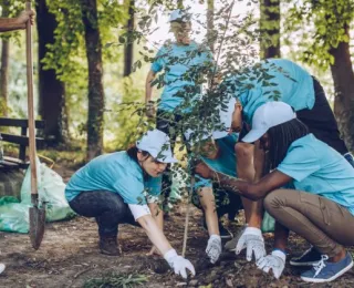 Mehrere Personen in blauen T-Shirts und mit weißen Cappies auf pflanzen gemeinsam einen jungen Baum in einem Waldgebiet.