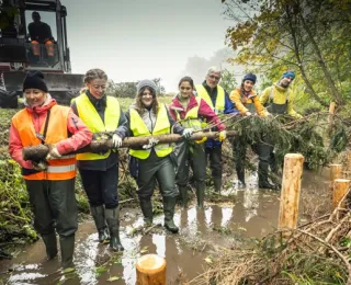 Mehrere Personen in Warnwesten tragen einen Baum durch einen Fluss.