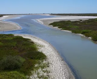 Rhonedelta in Frankreich