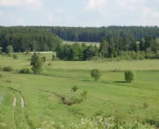 Ausschnitt des Projektgebietes westlich Sachsgrün: Kolonnenweg, Kfz-Sperrgraben und verschiedene Offenlandbiotope, angereichert mit einzelnen Gehölzstrukturen sind typisch für das sächsische Grüne Band.