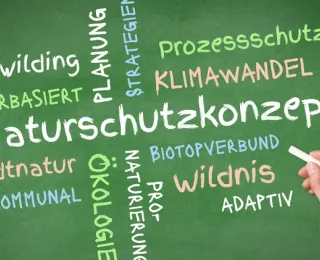 Das Bild zeigt eine grüne Tafel mit handschriftlichen, bunt markierten Begriffen zu Themen rund um die Klimaanpassung von Naturschutzkonzepten. Im Fokus stehen Wörter wie „Naturschutz“, „Rewilding“, „Klimawandel“, „naturbasiert“, „Biotopverbund“ und „adaptiv“. Eine Hand hält eine weiße Kreide daneben. 