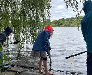 Zwei Kinder und eine erwachsene Person keschern an einem Gewässer