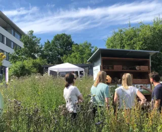 Ein Gruppe von Menschen betrachtet eine Insektennisthilfe in einer naturnahen Wiese