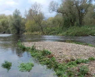 grüne Flusslandschaft umgeben von Umlagerungen von Kies und Sand