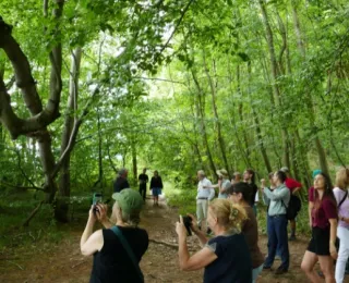 Gruppe von Menschen auf einem Waldweg, einige fotografieren die umgebenden Bäume und Pflanzen