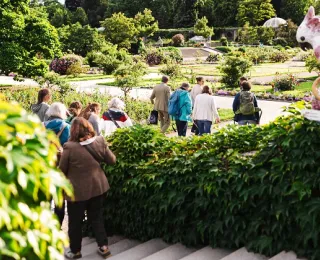 Teilnehmer*innen machen einen Rundgang durch den Garten