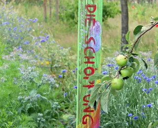 Buntes Schild mit der Aufschrift "Die Schöpfung" inmitten eines blütenreichen Gartens