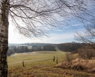Zu sehen ist eine hügelige Landschaft an einem sonnigen Herbsttag.