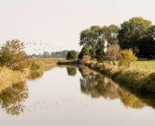 kleiner Flusslauf mit bewachsener Böschung