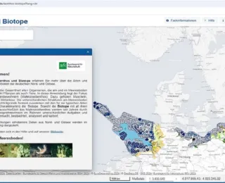Bild von Internetseite mit interaktiver Karte zum Thema Benthos und Biotope in Nord- und Ostsee