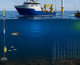 Unterschiedliche Quellen, Betroffene und Minderungsmaßnahmen von Unterwasserlärm. Unter anderem Schiffe, gerammte Windradfundamente, Blasenschleier, Wal und Robbe.