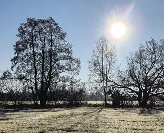 Winterlandschaft am Riedgraben. Sonne scheint durch Bäume auf der winterlichen Grasfläche ohne Schnee.