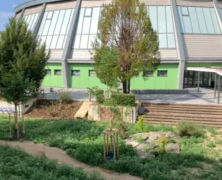 Das Schulgebäude mit dem naturnah gestalteten Schulhof