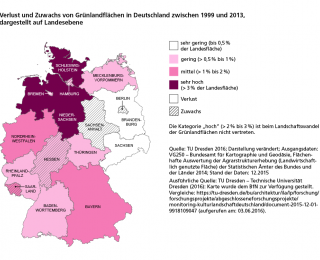 Karte Verlust von Grünlandflächen in Deutschland zwischen 1999 und 2013, dargestellt auf Landesebene