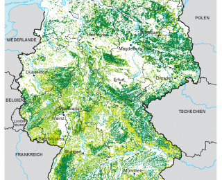 Karte: Waldformen in Deutschland