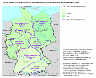 Karte Anteile der Flächen mit natürlicher Waldentwicklung an den Wäldern der Großlandschaften
