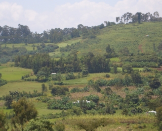 Cultural landscape in the Ethiopian highlands