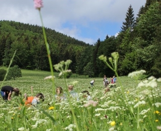 Grüne Wiese mit Schafgarbe und spielenden Kindern