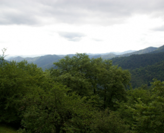 Hyrcanian Forests in Azerbaijan