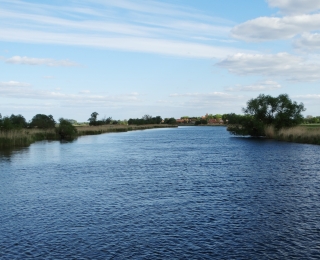 Das Foto zeigt den Fluss Havel in der unteren Havelniederung mit Grünland und einzelnen Weiden im Uferbereich. Im Hintergrund ist ein Dorf zu sehen.