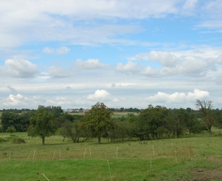 Das Foto zeigt einen Landschaftsausschnitt des Bliesgaus mit seinen häufig vorkommenden Streuobst und Grünlandflächen an den Ortsrandlagen