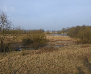 Projektgebiet auf der Insel Pagensand im Winter