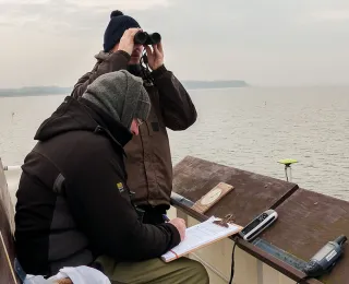 Schiffszählungen der Seevögel