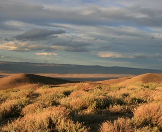Wüstenlandschaft in Patagonien/Chile